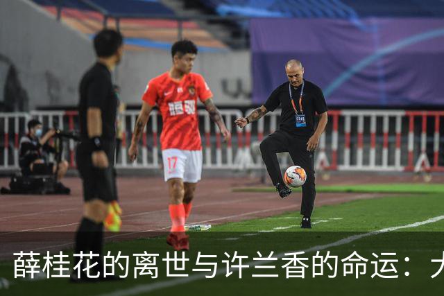 薛桂花的离世与许兰香的命运：大雁映衬下的深情与牺牲